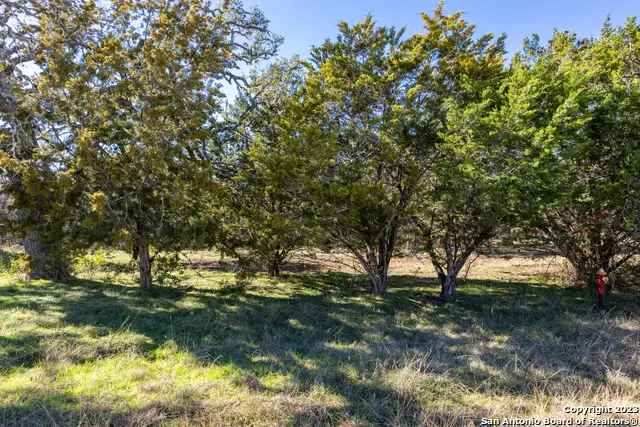 109 N Oak Bluff Blvd, Boerne, TX 78006 - #3