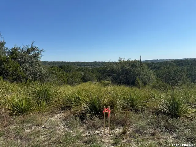 390 Thoroughbred Ln, Spring Branch, TX 78070 - #2