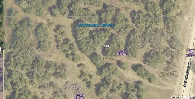 1076 Adyson Ridge, Bulverde, TX 78163 - #3