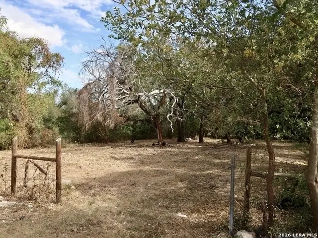1022 Wild Persimmon St, San Antonio, TX 78245 - #2