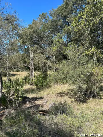 31303 Smithson Valley Rd, Bulverde, TX 78163 - #2