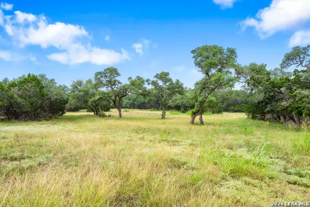 29711 Fm 306, Spring Branch, TX 78070 - #3