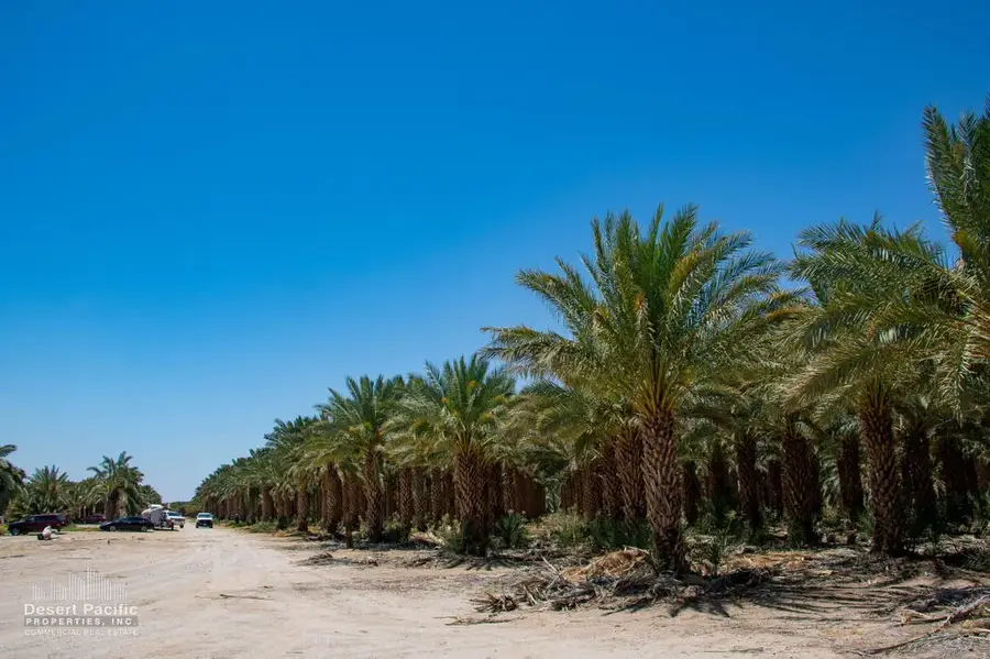 1095 Midland Rd, Blythe, CA 92225 - #3