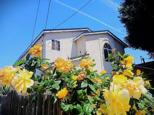 230-232 W 15th Street, San Pedro, CA 90731