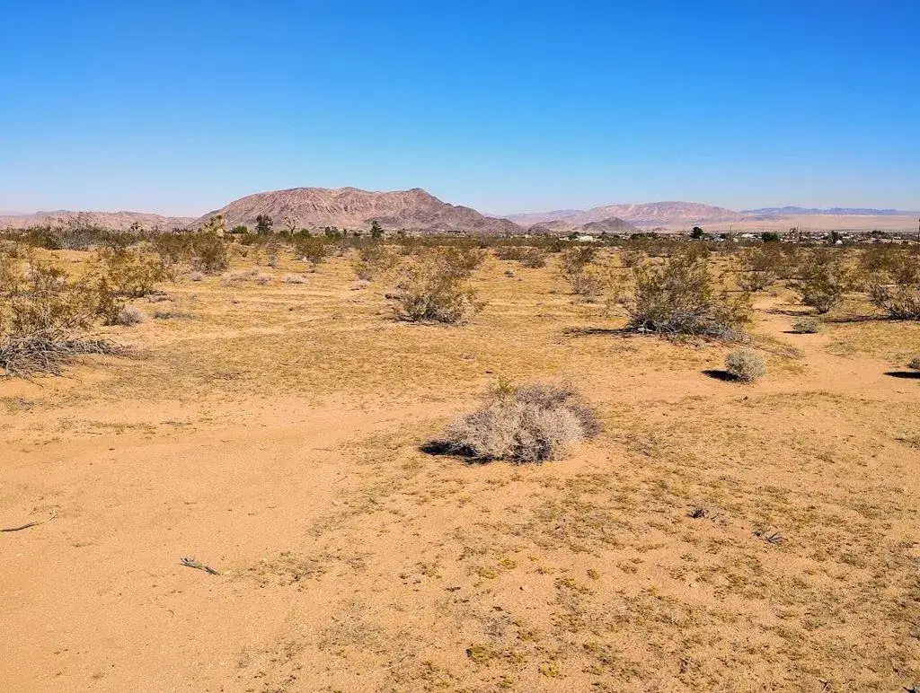 565 Inez, Landers, CA 92285 - #1