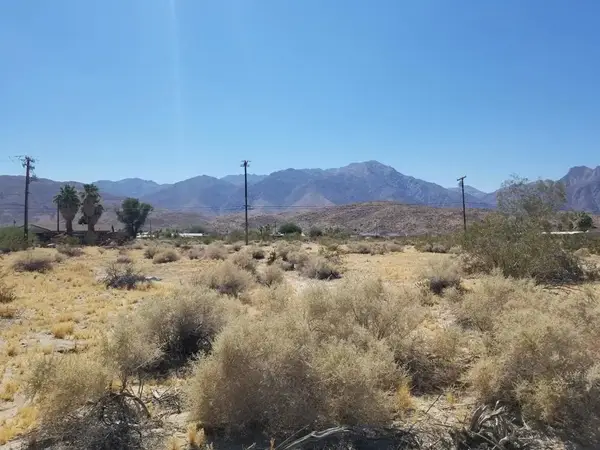 Frying Pan, Borrego Springs, CA 92004