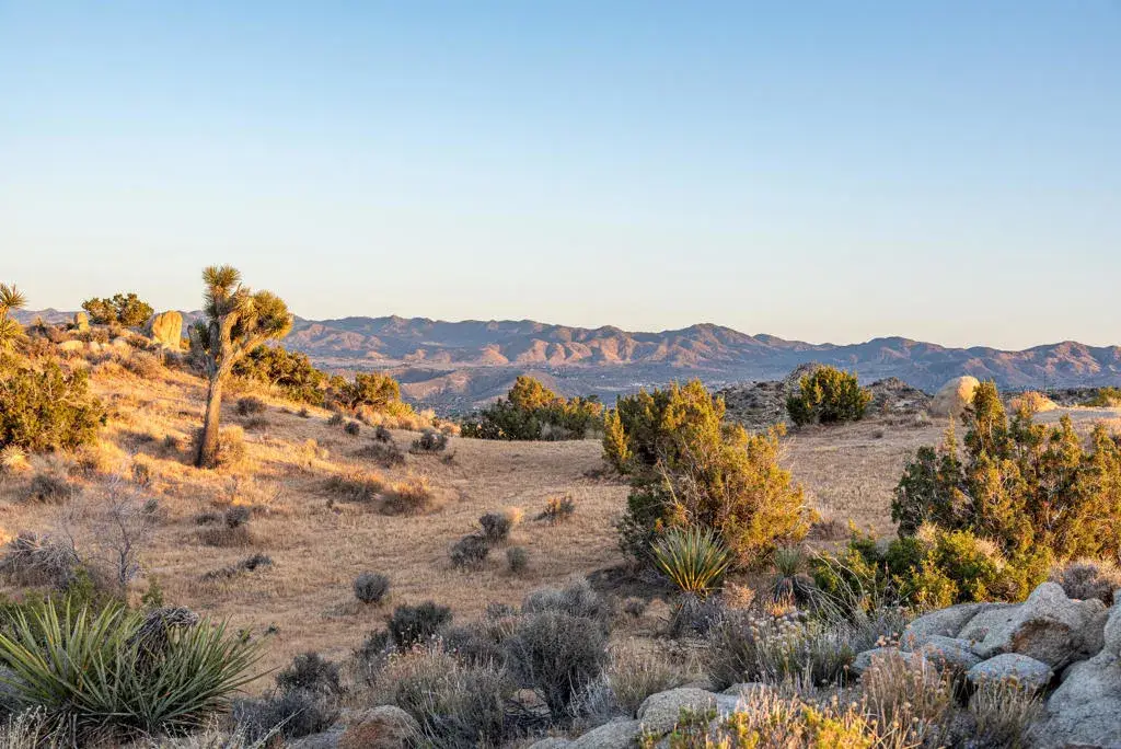 56765 Sable, Yucca Valley, CA 92284 - #1