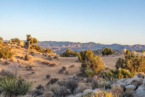 56765 Sable, Yucca Valley, CA 92284