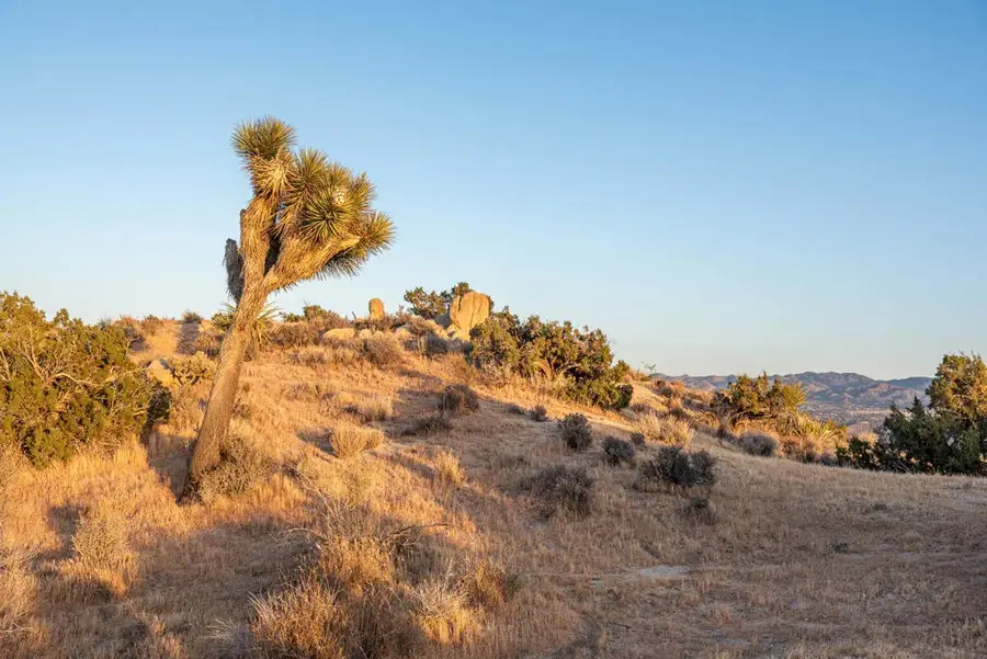 56765 Sable, Yucca Valley, CA 92284 - #3