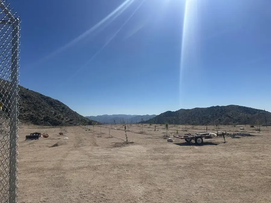 48980 Big Morongo Canyon, Morongo Valley, CA 92256 - #2