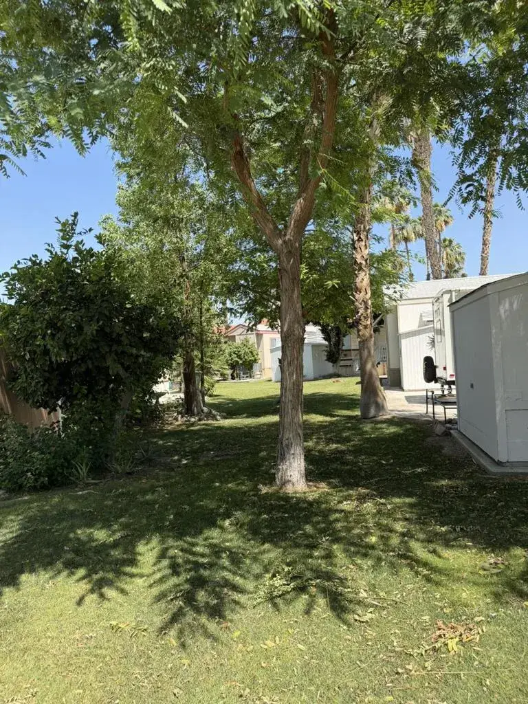 84136 Avenue 44, Indio, CA 92203 - #2