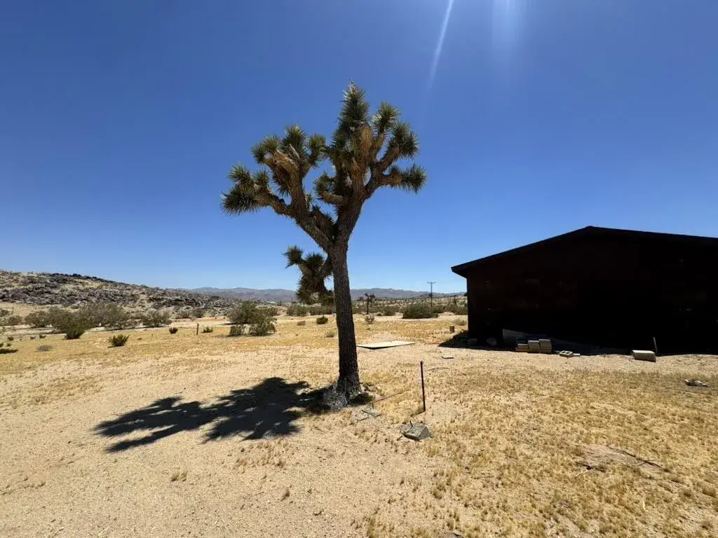 62157 Aberdeen, Joshua Tree, CA 92252 - #1