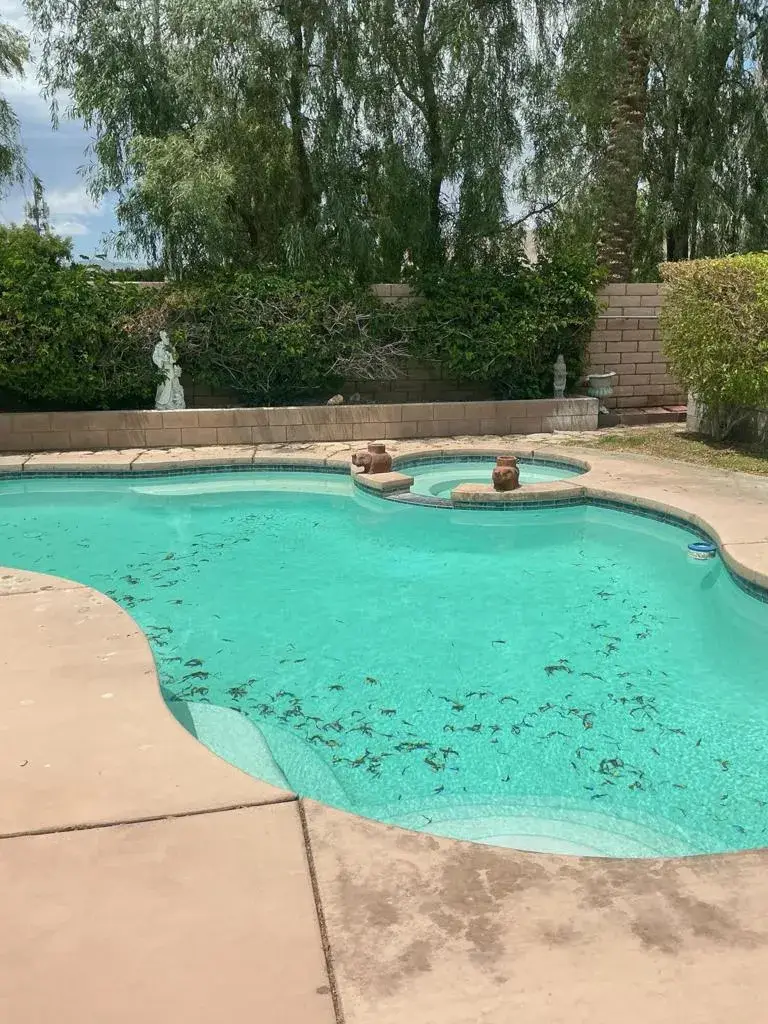 69456 Saint Andrews Road, Cathedral City, CA 92234 - #3
