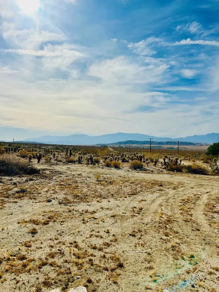 0 Terry, Sky Valley, CA 92241 - #3