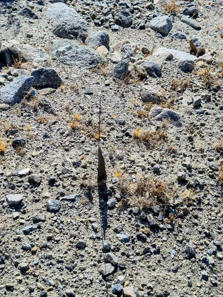 Dillon Rd, Sky Valley, CA 92241 - #3