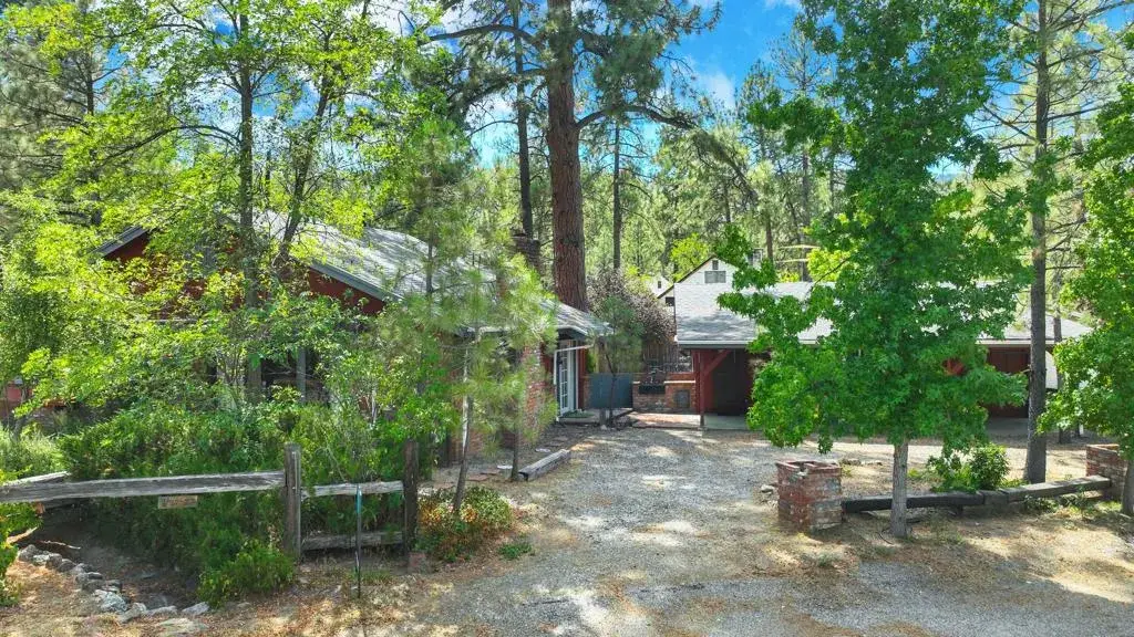 59359 Donna Mae Place, Mountain Center, CA 92561 - #1