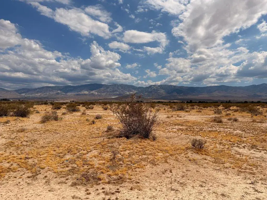 40 Rabbit Springs, Lucerne Valley, CA 92356 - #1