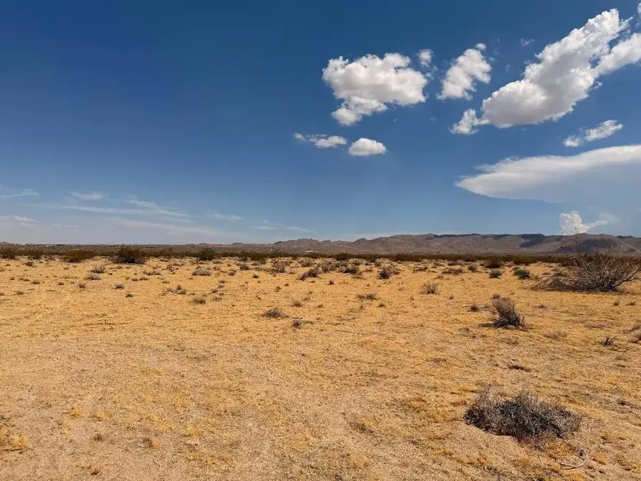 5 Brody, Johnson Valley, CA 92285 - #2