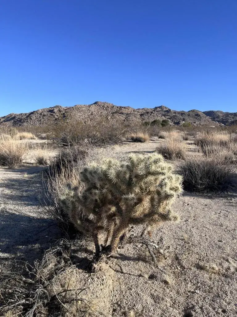 0 Lee Rd, Twentynine Palms, CA 92277 - #1