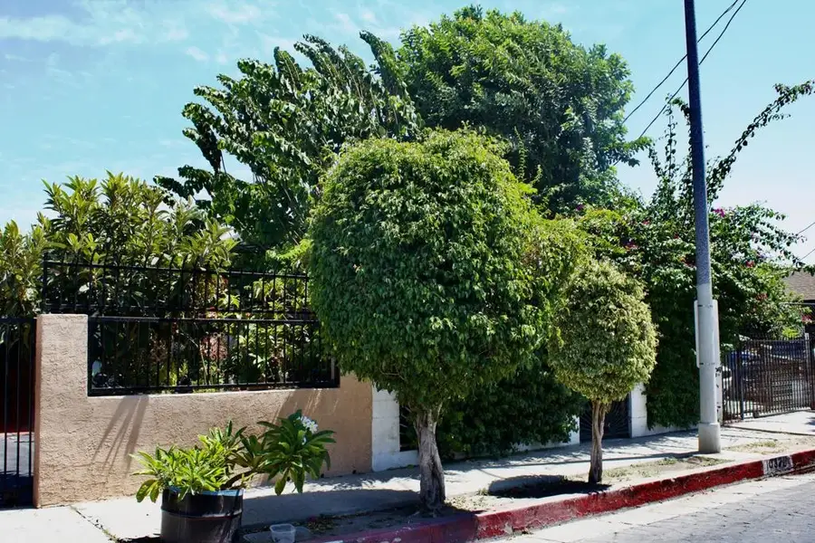 10328 Hickory Street, Los Angeles, CA 90002 - #2
