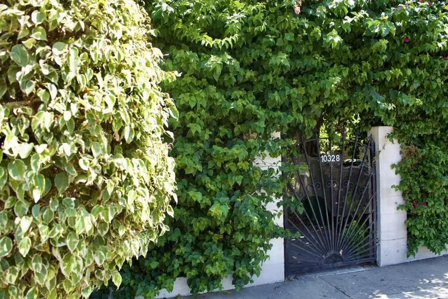 10328 Hickory Street, Los Angeles, CA 90002 - #3