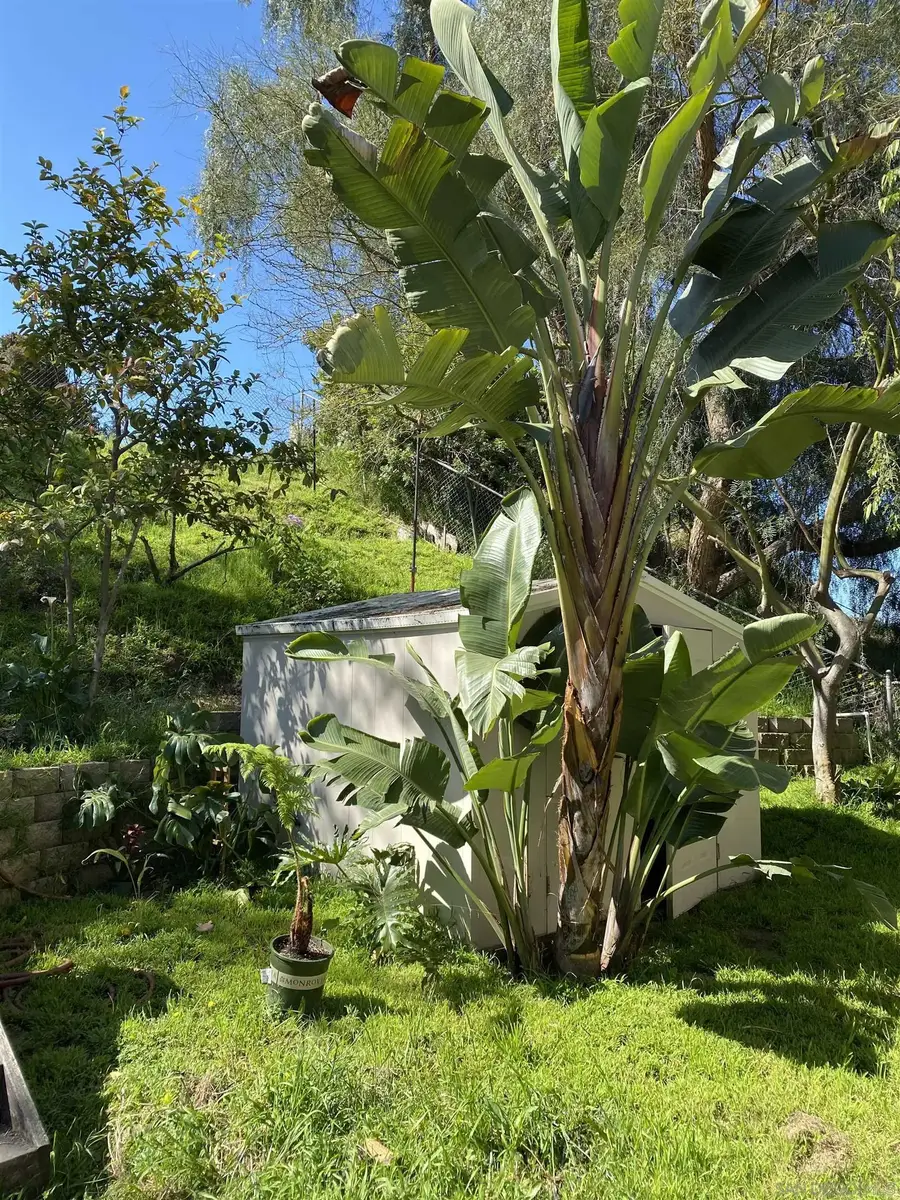 5015 Macario Dr, Oceanside, CA 92057 - #2