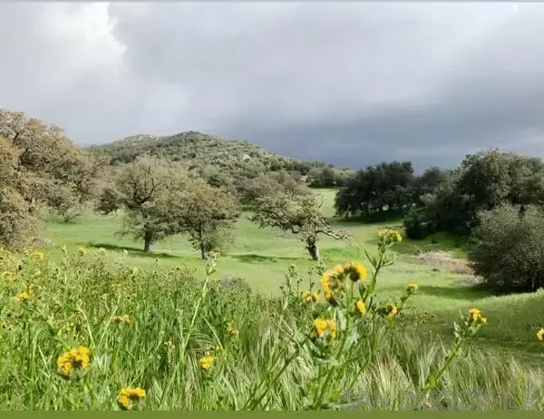 0000 Tule Springs Road, Julian, CA 92036
