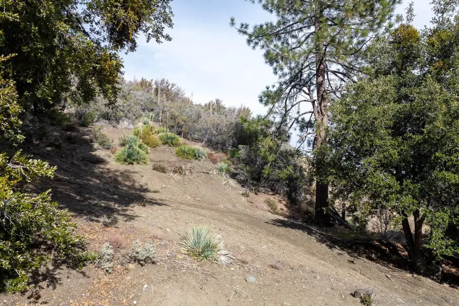 0 Timberline Dr #20, Wrightwood, CA 92397 - #3