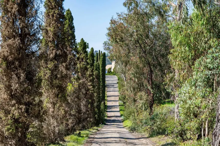 18024 Avenida Alondra, Rancho Santa Fe, CA 92067 - #2