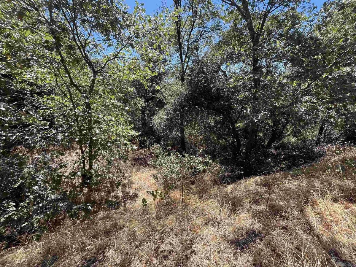 0 Whispering Pines Drive #186, Julian, CA 92036 - #1