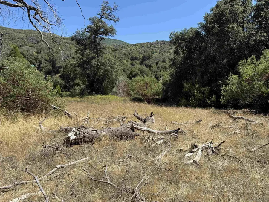 5909 Forest Meadow Road, Julian, CA 92036 - #3