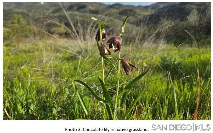 Highway 67, Lakeside, CA 92040 - #3