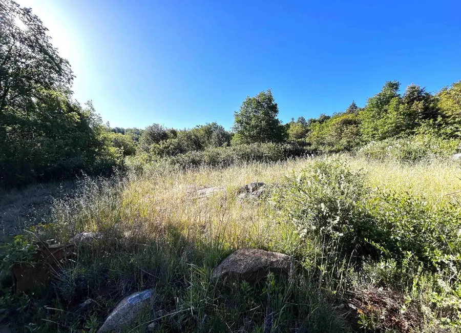 Oak Way #24, Julian, CA 92036 - #2