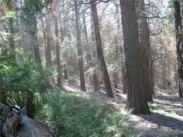 0 Crestline Road #25, Palomar Mountain, CA 92060 - #1
