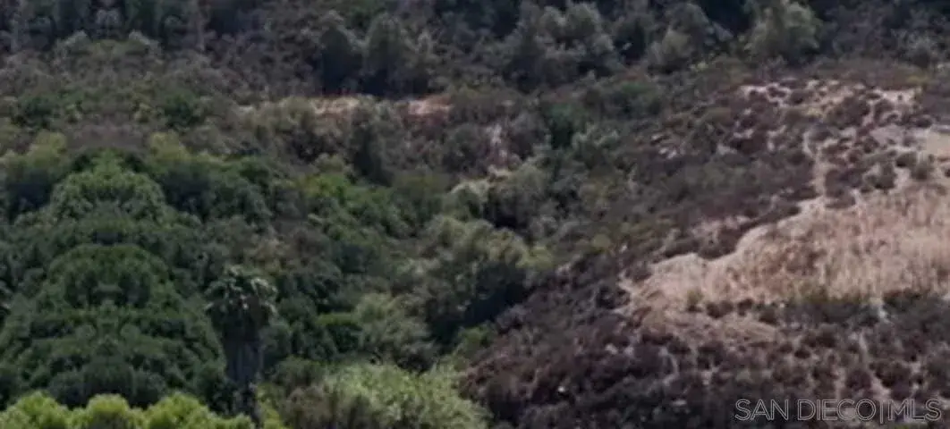 Proctor Valley #595-020-70-00, Chula Vista, CA 91914 - #1