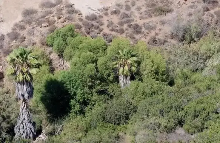 Proctor Valley #595-020-70-00, Chula Vista, CA 91914 - #2