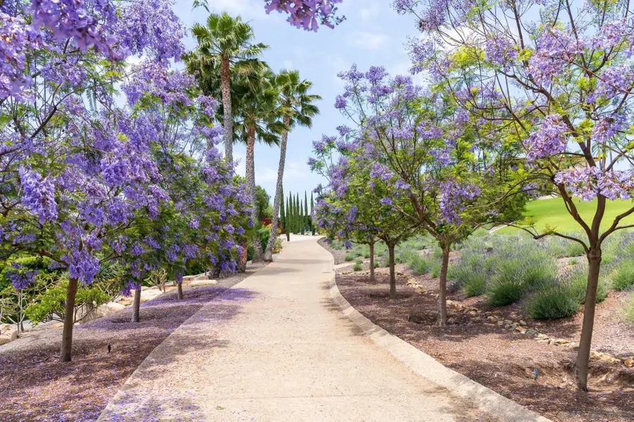18245 Paseo Victoria, Rancho Santa Fe, CA 92067 - #3