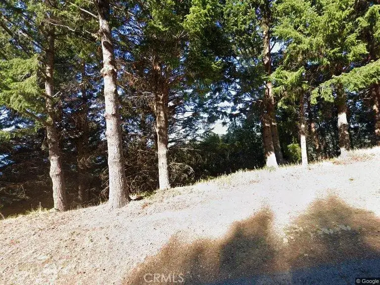 7139 Shelter Cove Road, Shelter Cove, CA 95589 - Image #2