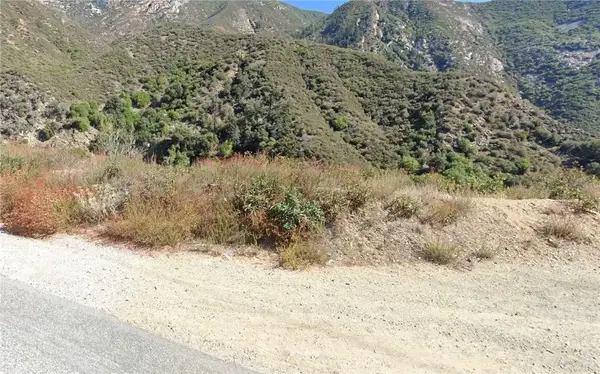 0 Mt Baldy, Mt Baldy, CA 91759