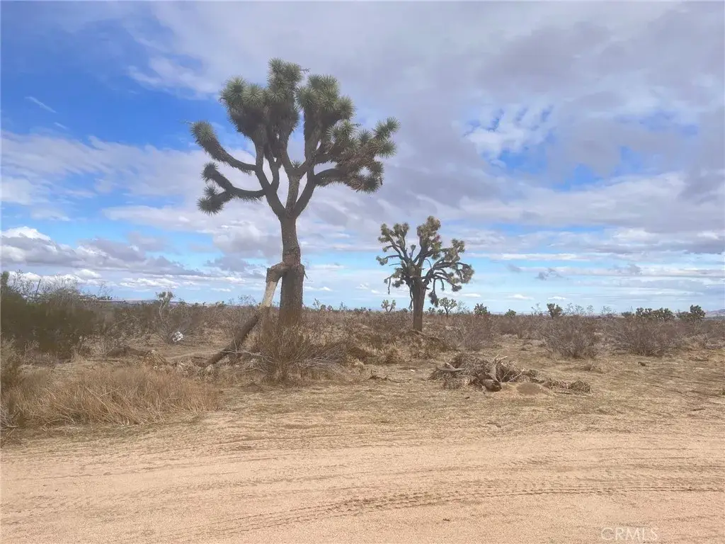 0 Dos Palmas Rd Road, Phelan, CA 92371 - #1