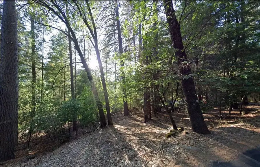 16313 Golf, Cobb, CA 95426 - #2