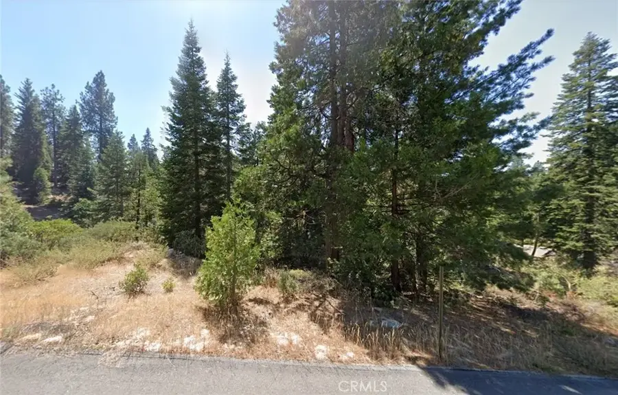 40541 Wild Rose, Shaver Lake, CA 93664 - #2