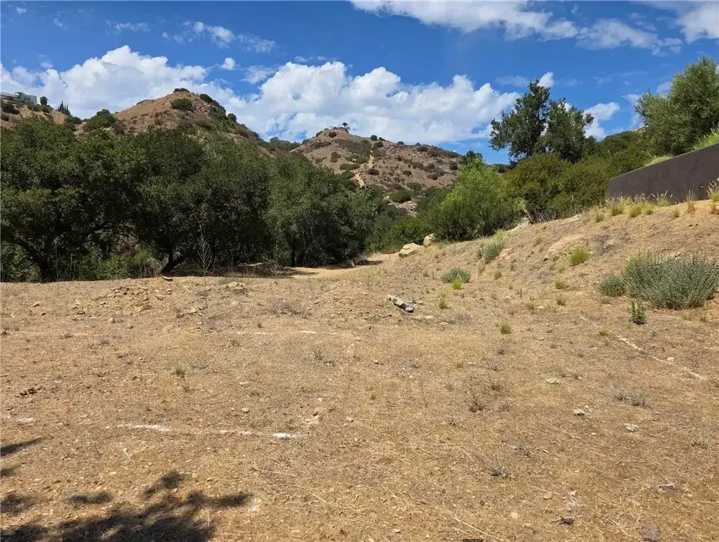 137 Buckskin, Bell Canyon, CA 91307 - #1
