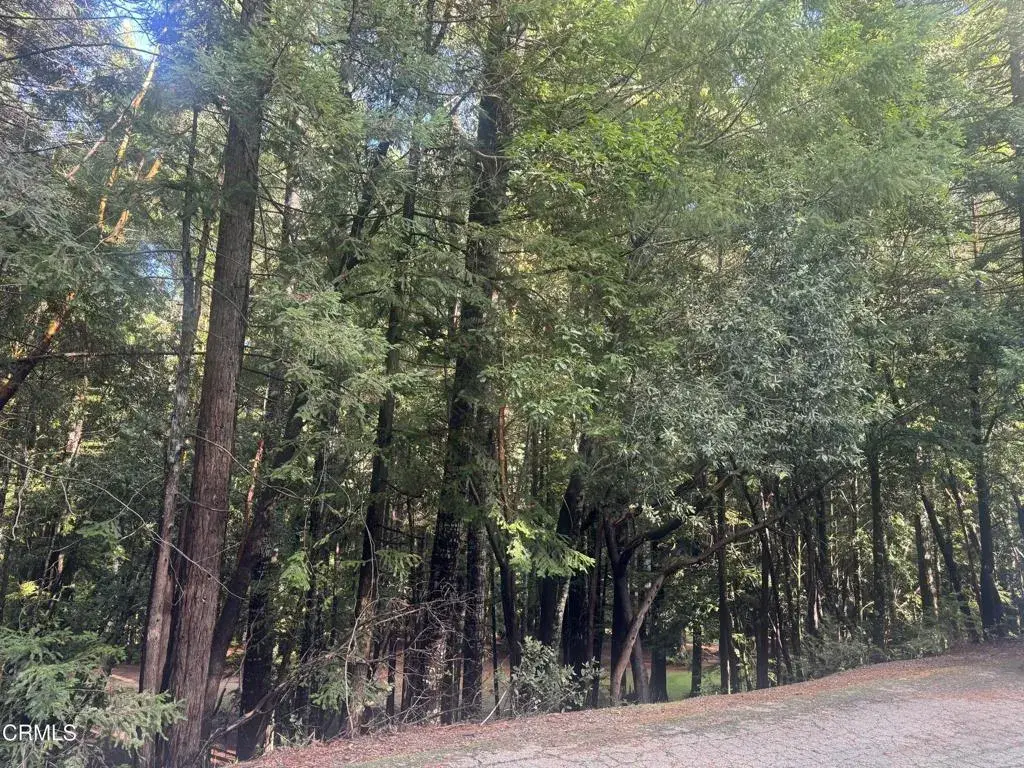 25195 Bluejay, Willits, CA 95490 - Image #1