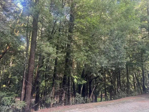 25195 Bluejay, Willits, CA 95490