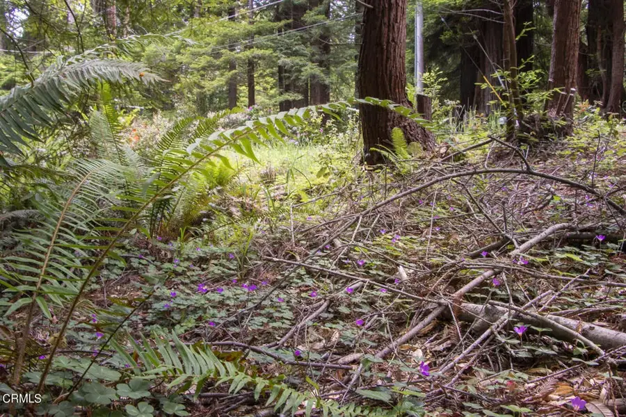 32100 Forest, Fort Bragg, CA 95437 - #2