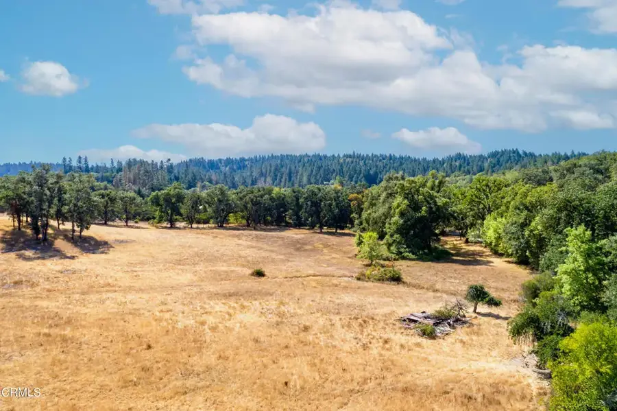 18300 Walker Road, Willits, CA 95490 - #2