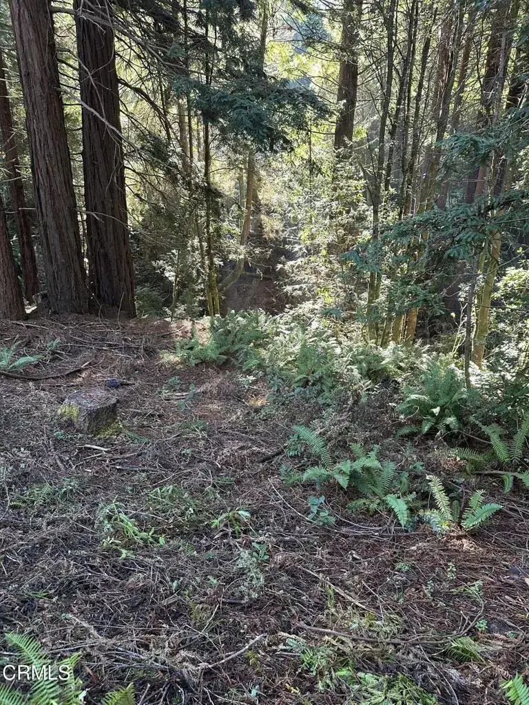 17500 Redwood Springs, Fort Bragg, CA 95437 - #1