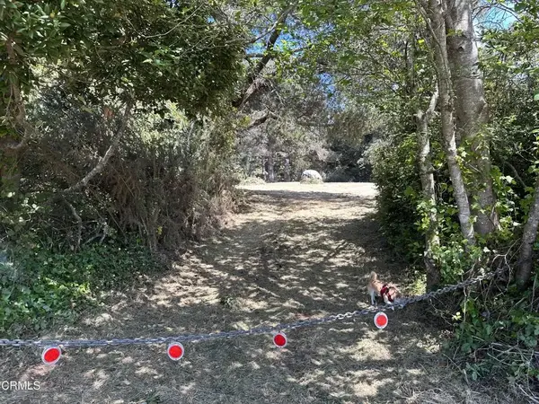 0 Pine, Fort Bragg, CA 95437