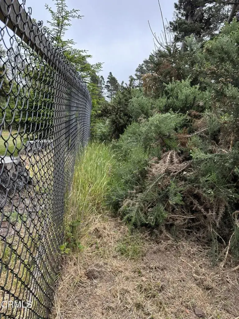 0 Pine, Fort Bragg, CA 95437 - #3
